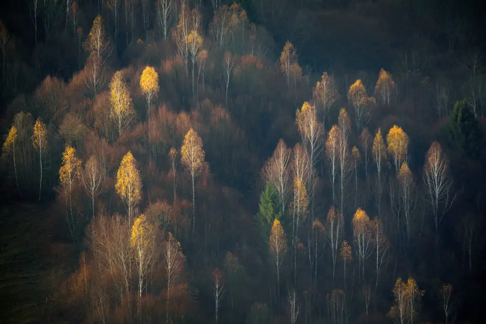 Ovidiu, Ioan Lazar: Spätherbst