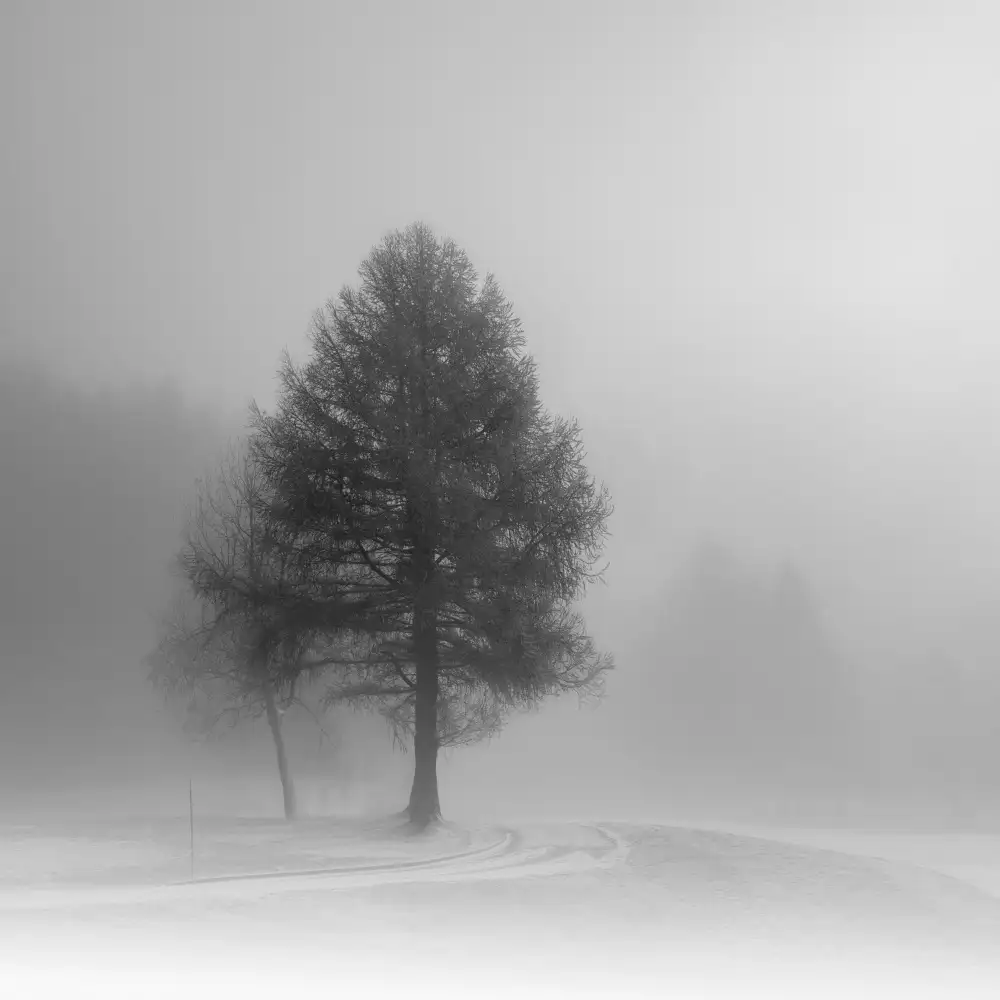 VéroniqueS: Der Winter ist auf dem Weg