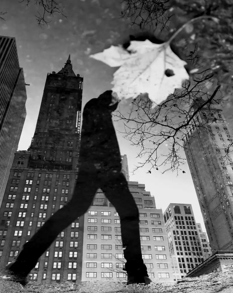 Lesica, Ivan: Reflexiones de Nueva York