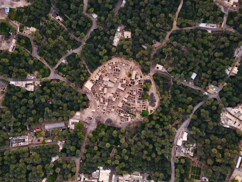 Sami_alhinai: Città delle Palme