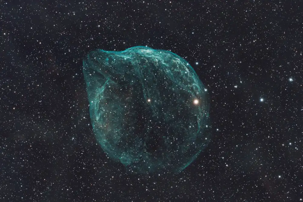 Yu, Zhen James: DELFINNEBEL – SHARPLESS 2-308
