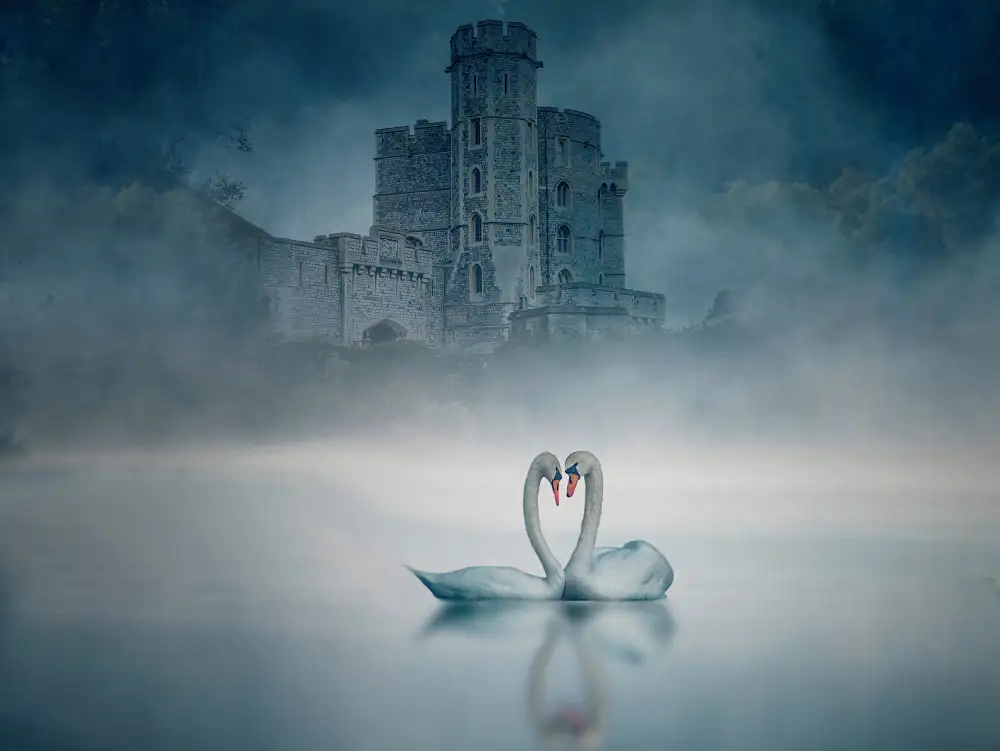 Zeng, Jiahong: Castello di Windsor e cigno