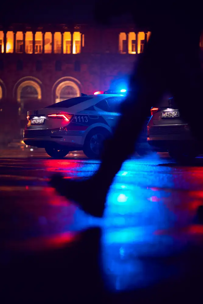 Danilov, Vladislav: Polizei