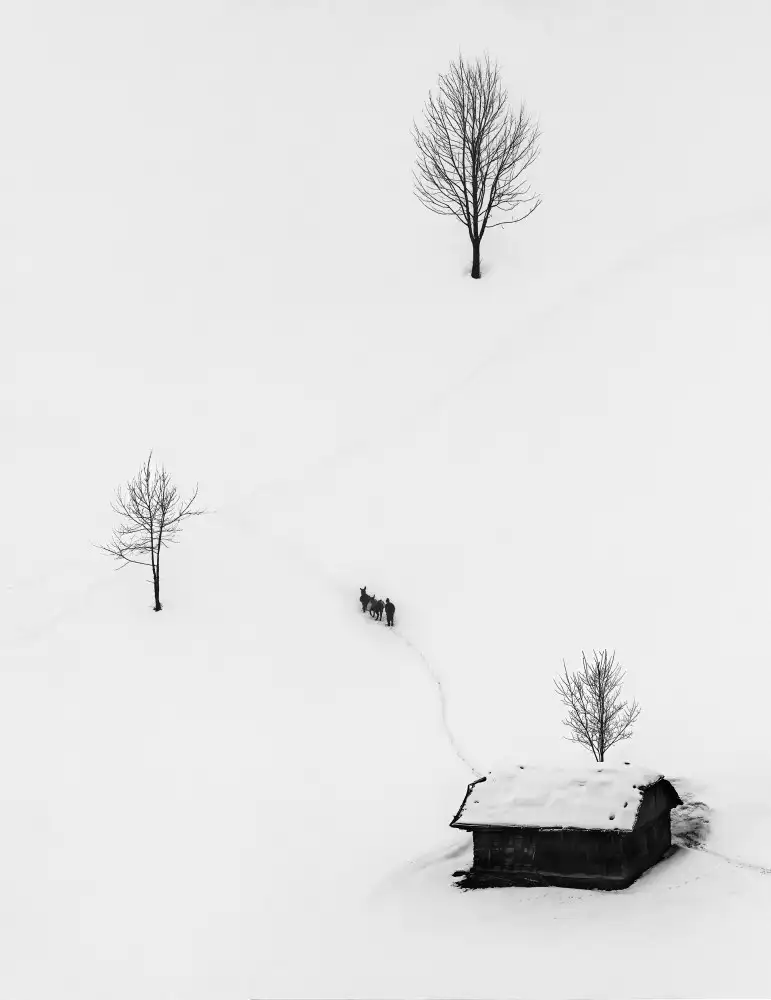 Prioteasa, Sebastian: Giornate invernali