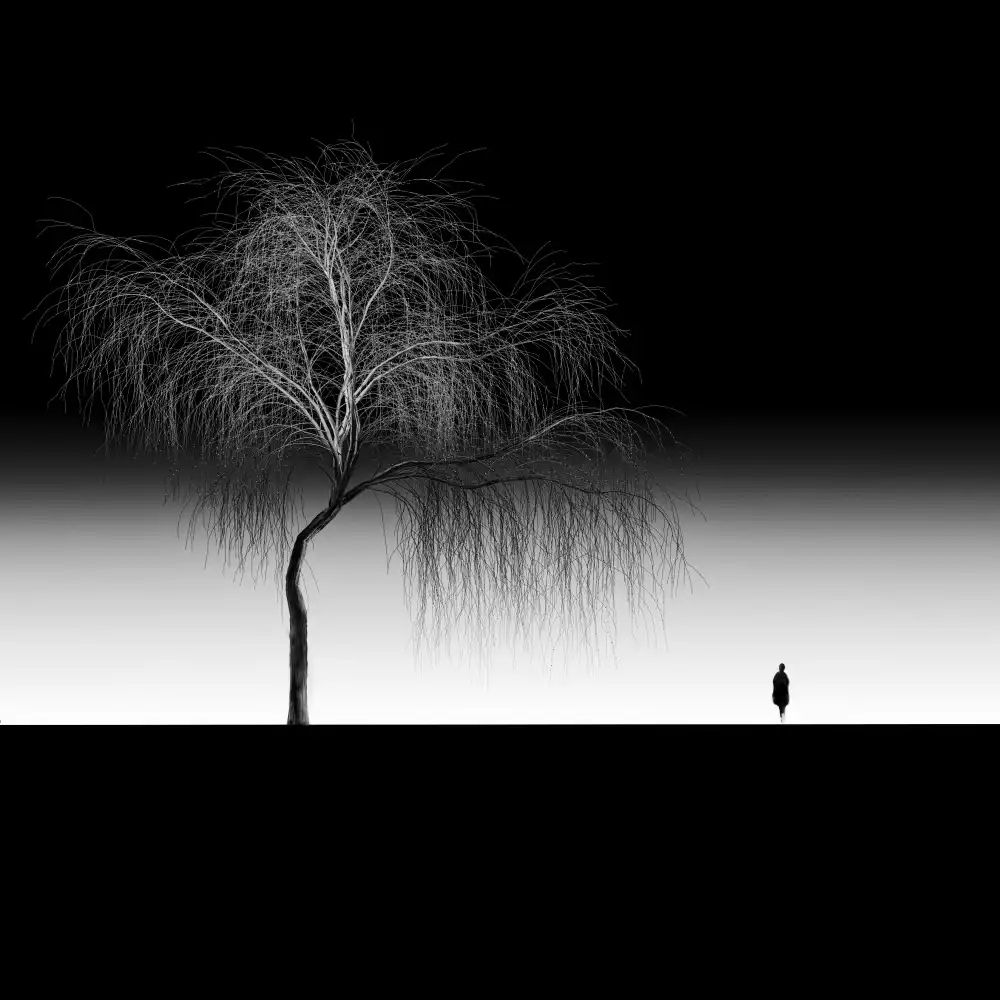 Bogdan, Marchevca: In solitudine
