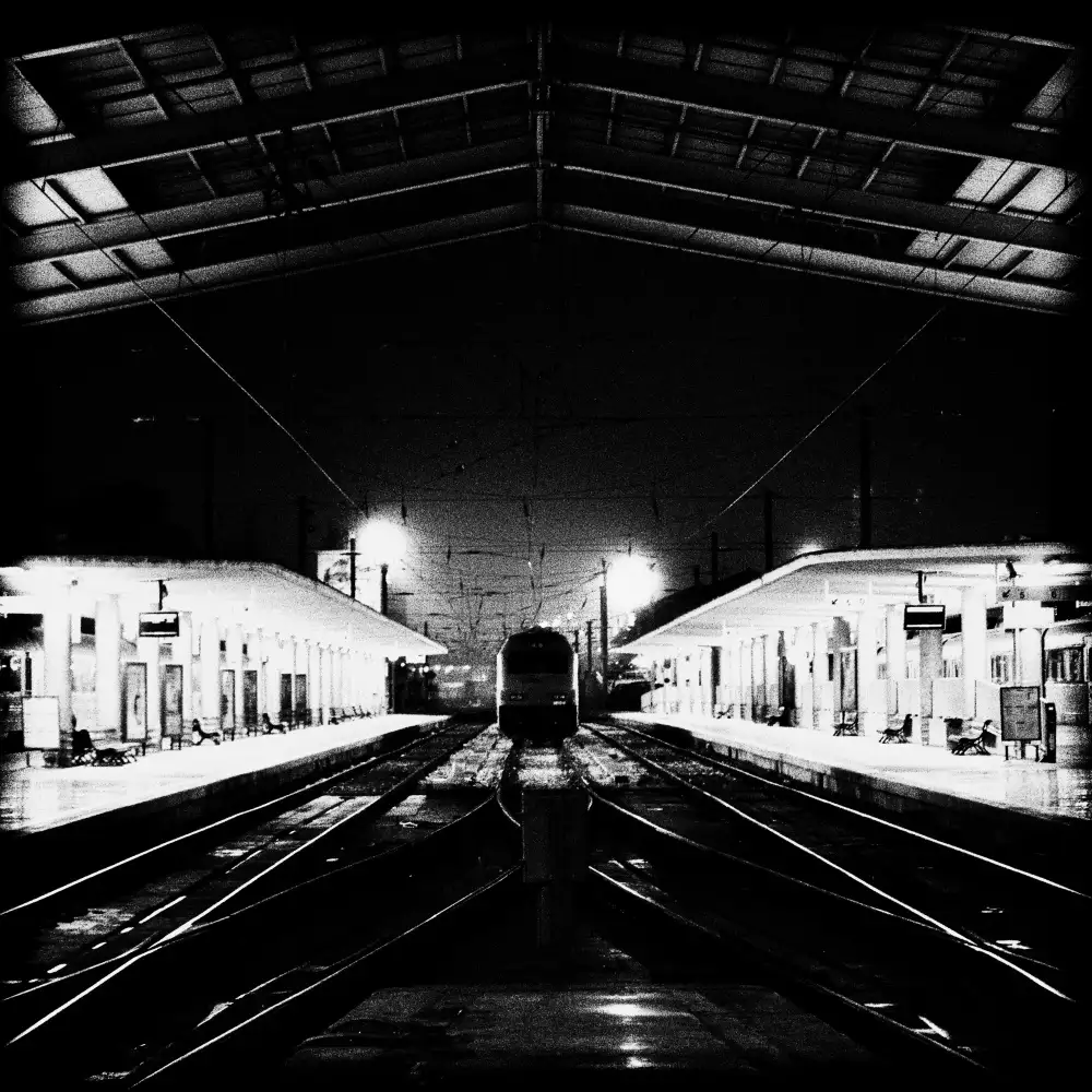 Abrantes, Paulo: Notte fuori