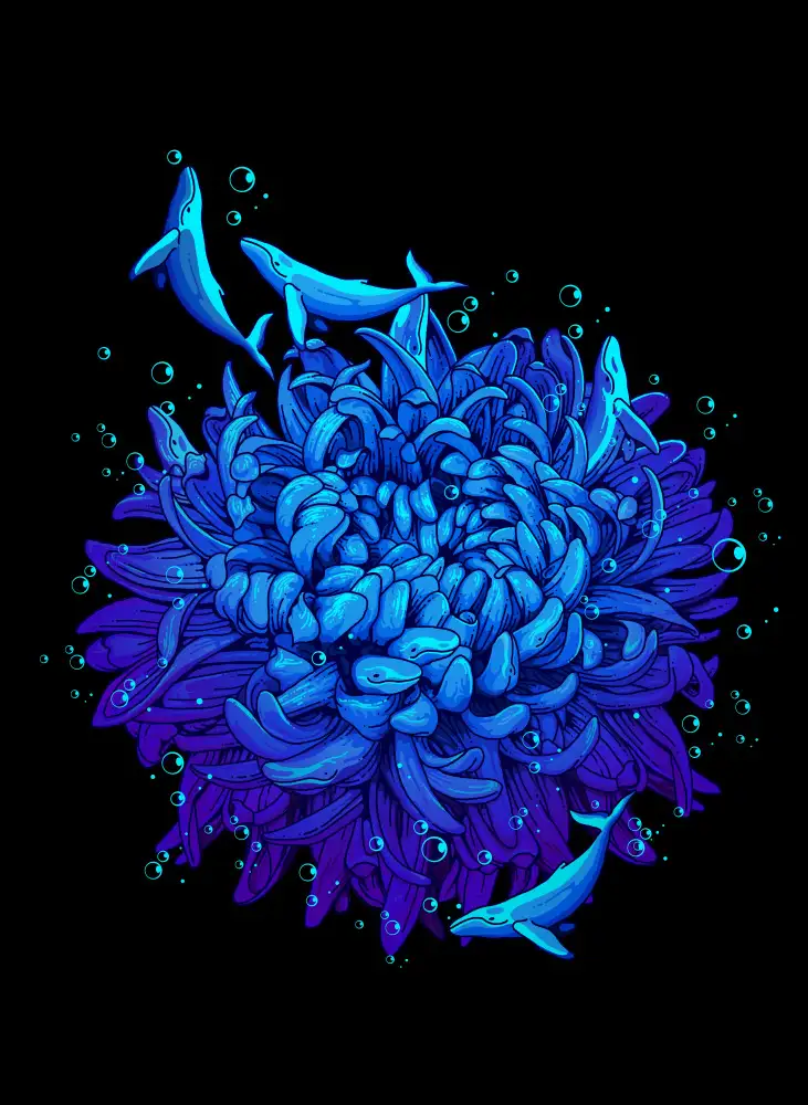 Lawless, Adam: sea flower