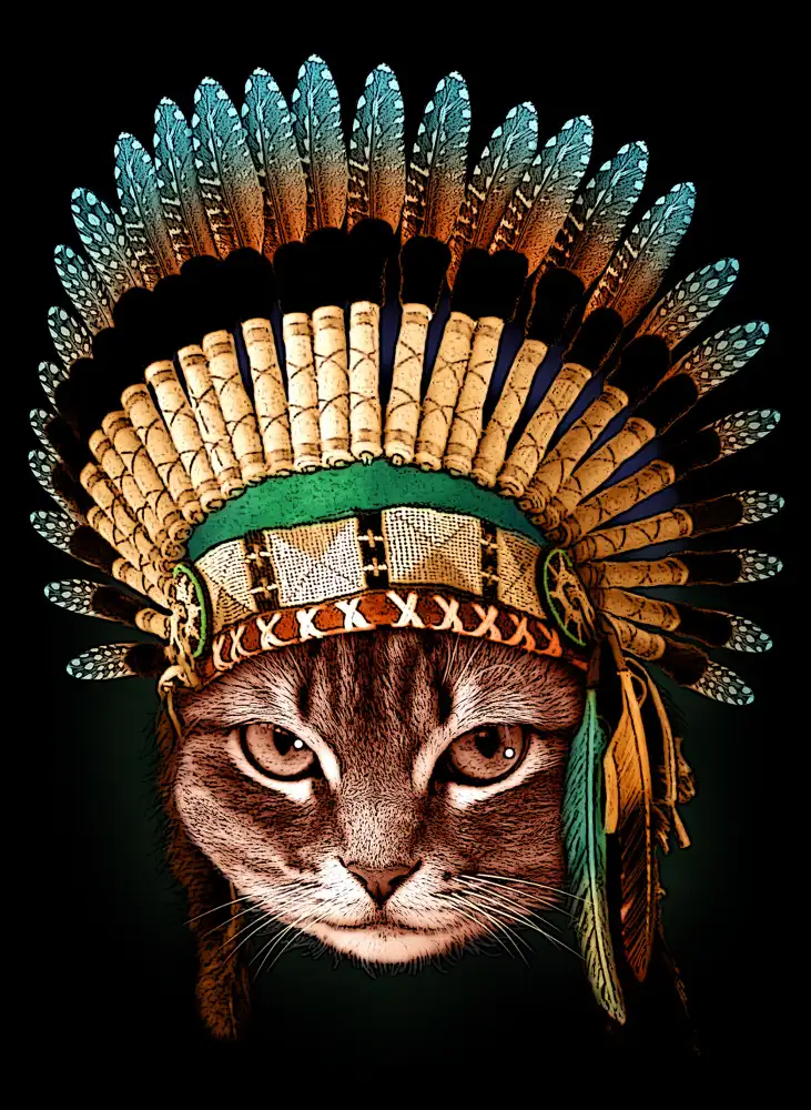 Lawless, Adam: chief cat