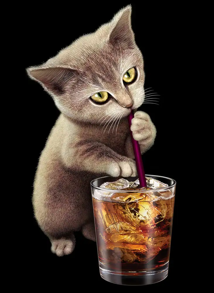 Lawless, Adam: cat and soft drink