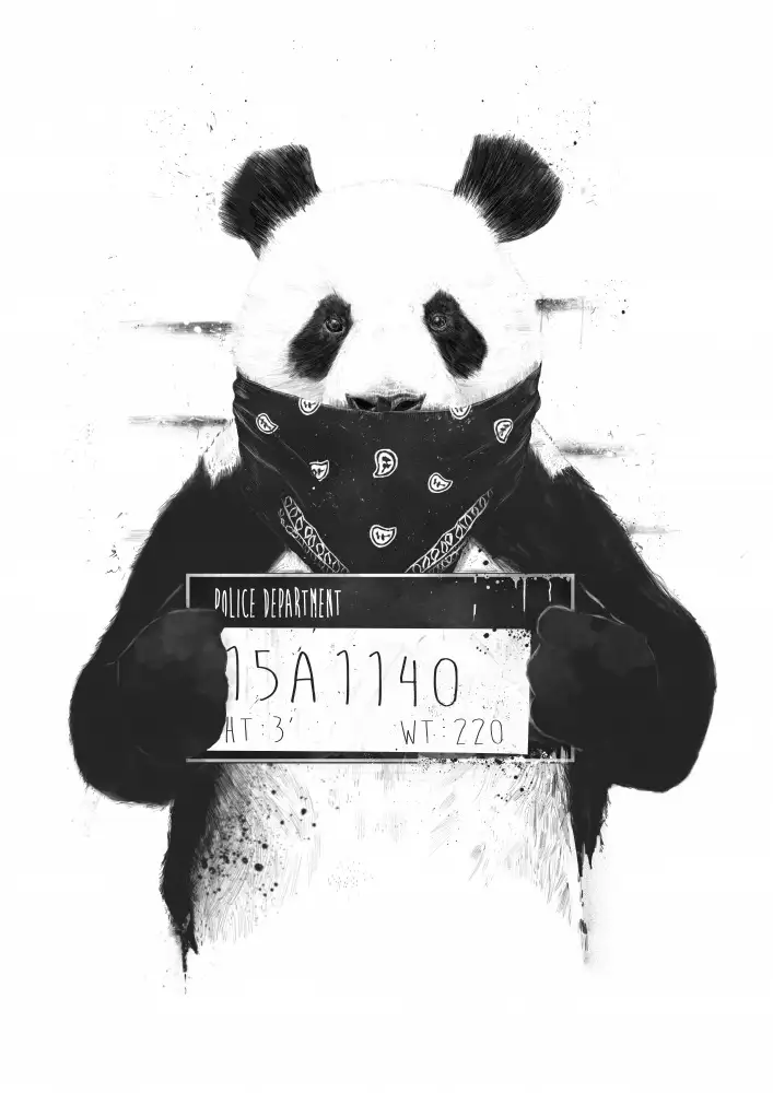 Solti, Balazs: Mauvais panda