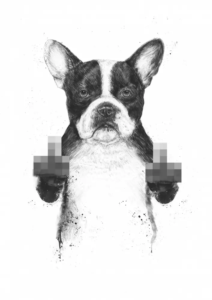 Solti, Balazs: Chien censuré