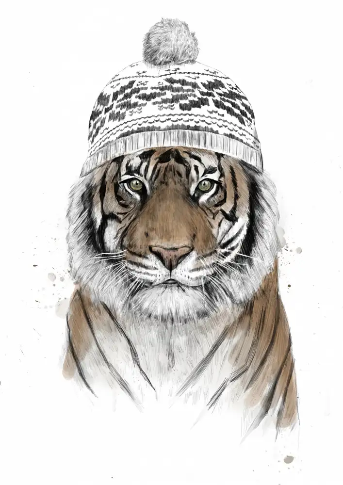 Solti, Balazs: tigre de Sibérie