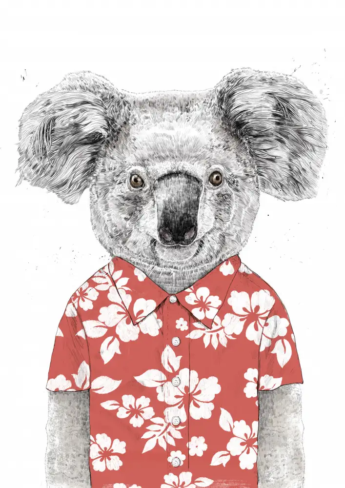 Solti, Balazs: Summer koala (red)