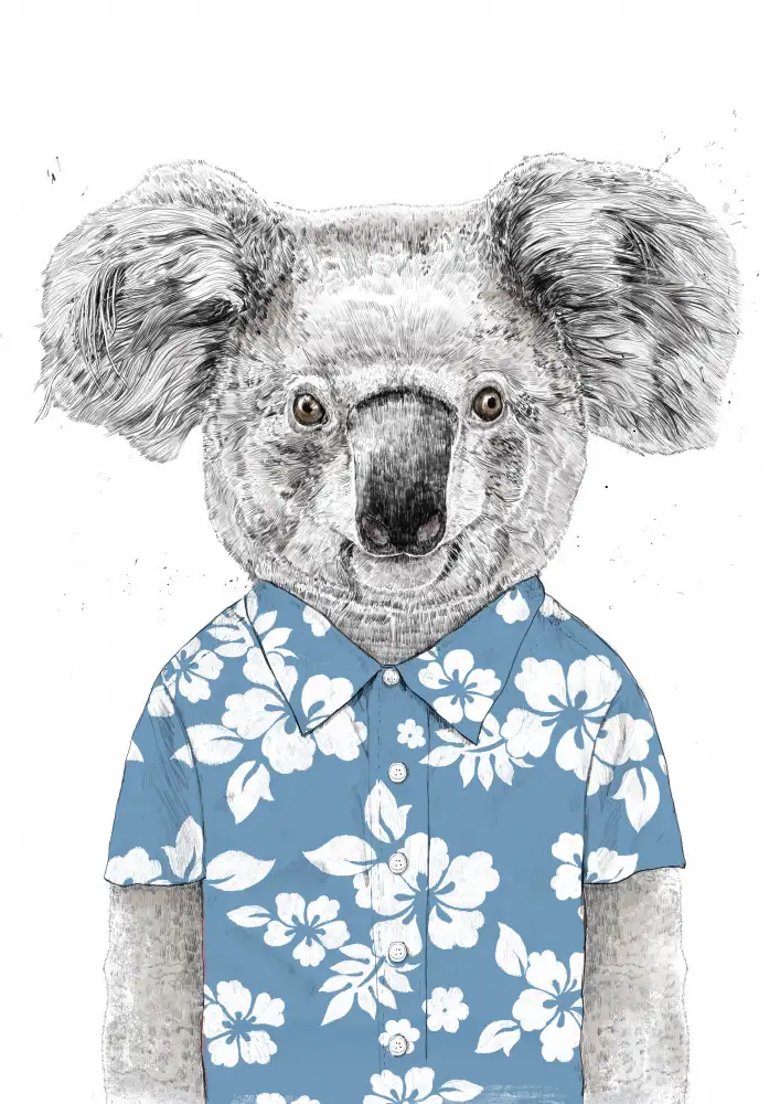 Solti, Balazs: Summer Koala (blue)