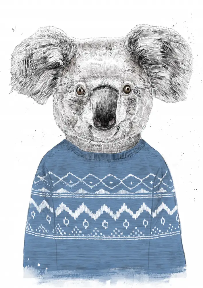 Solti, Balazs: Koala d'hiver (bleu)