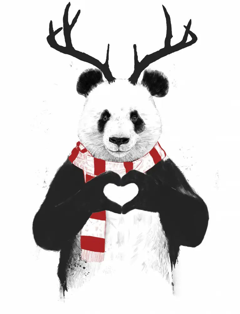 Solti, Balazs: Panda de Noël