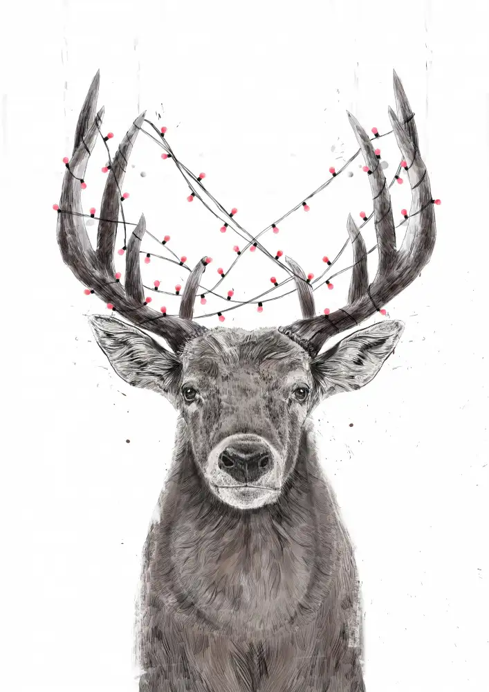Solti, Balazs: Cerf de Noël