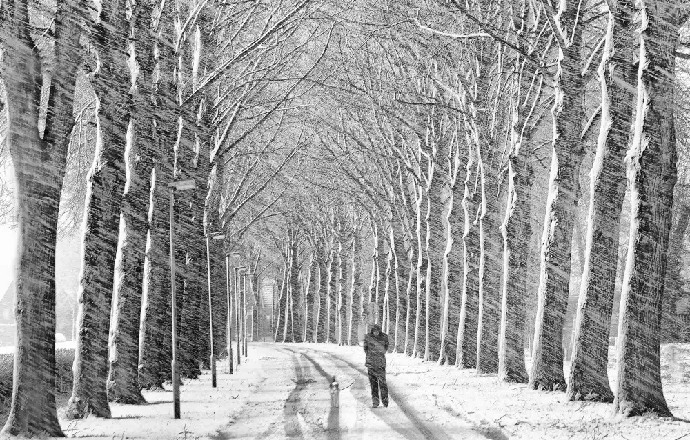 Urlings, Lou: Passeggiata sulla neve