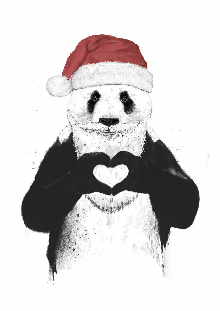Solti, Balazs: Santa panda