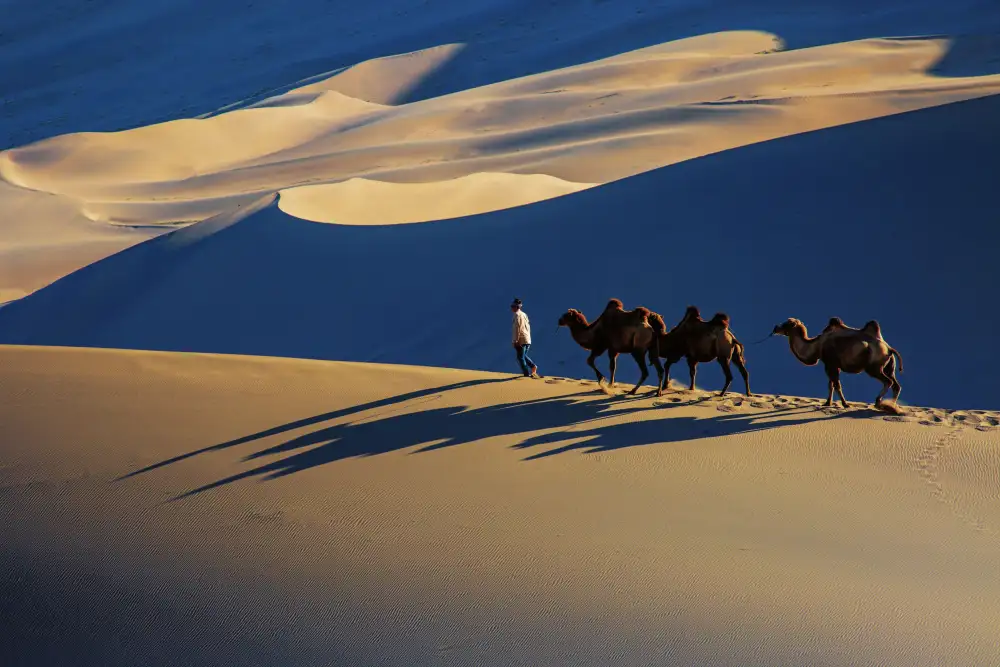 Widjaja, Sally: Shazhou Desert