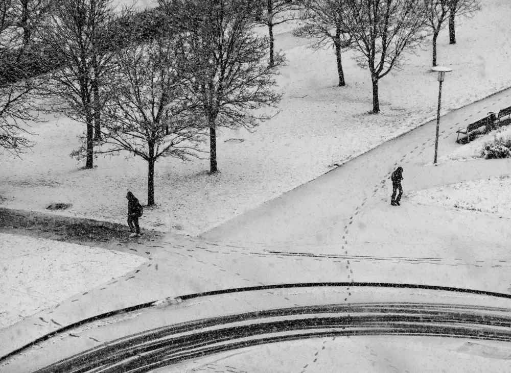 Urrutia, Adolfo: Sotto la nevicata