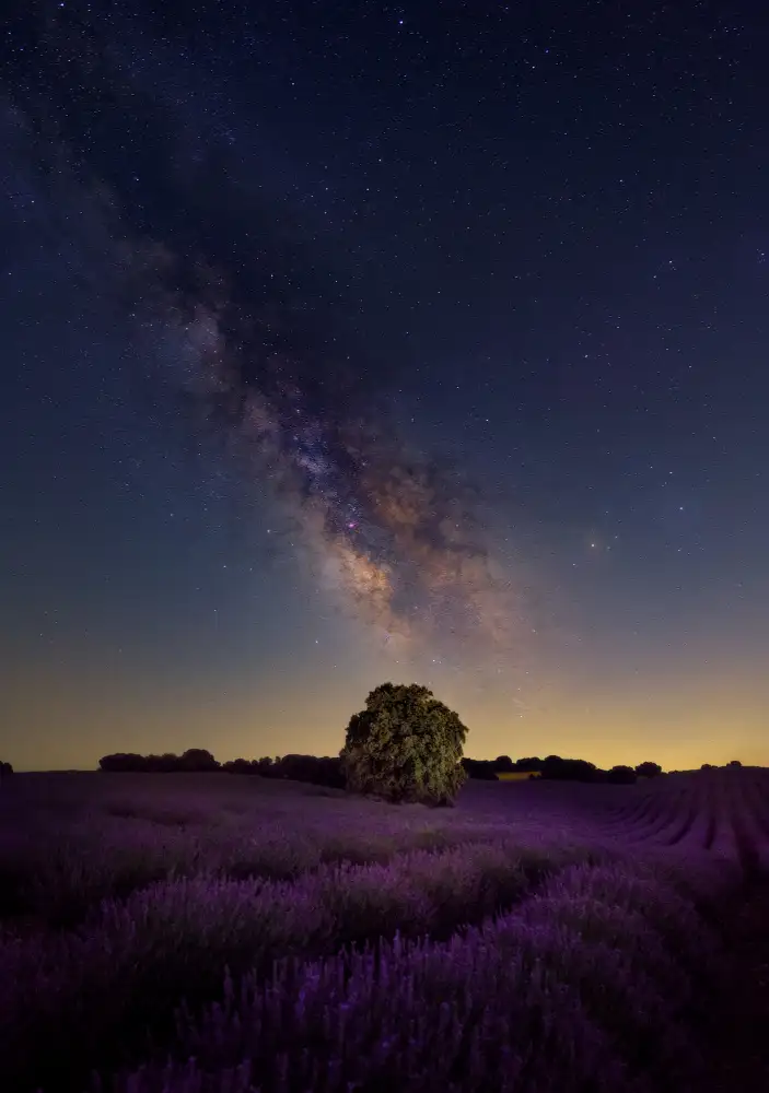 Martínez, Hernández Carlos: Sogni della Via Lattea
