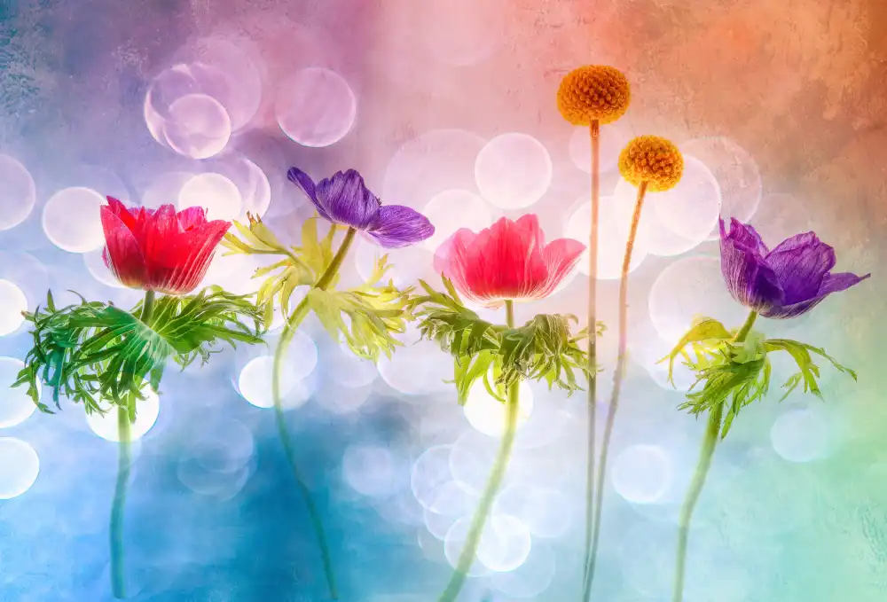 Lee, van Hilda: Verspielte Blumen