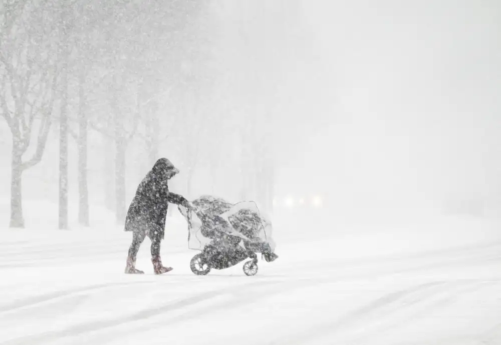 Zhao, Emma: Camminare in una tempesta invernale