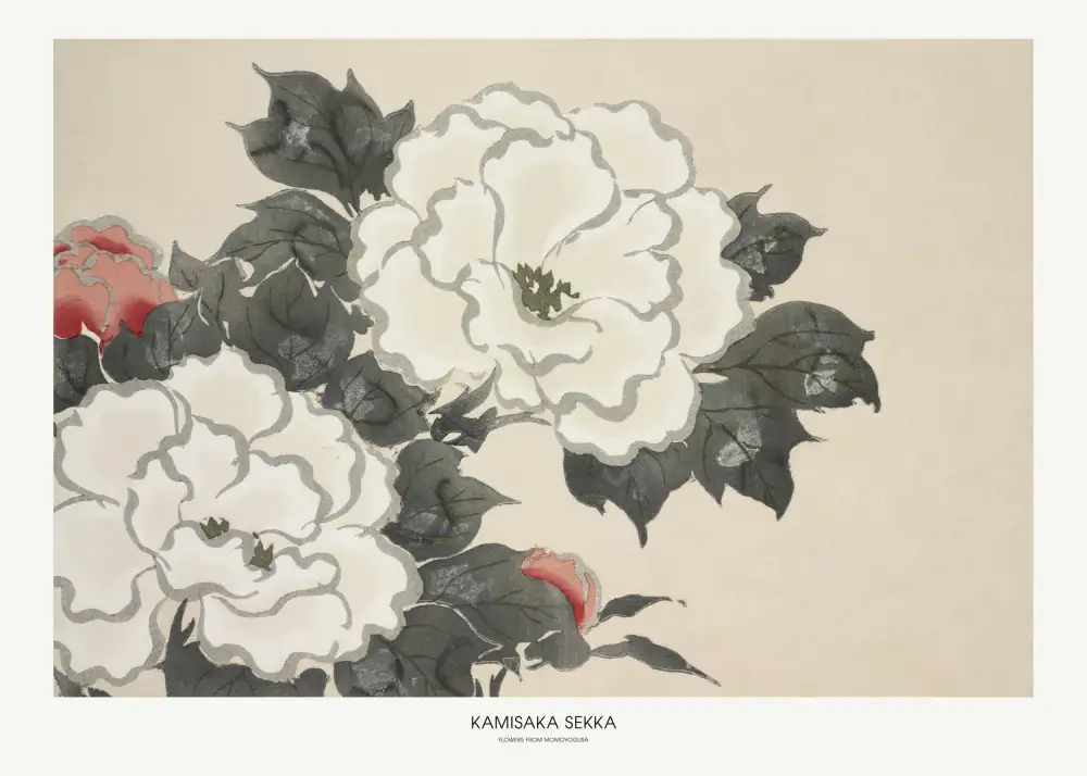 Sekka, Kamisaka: Flowers From Momoyogusa