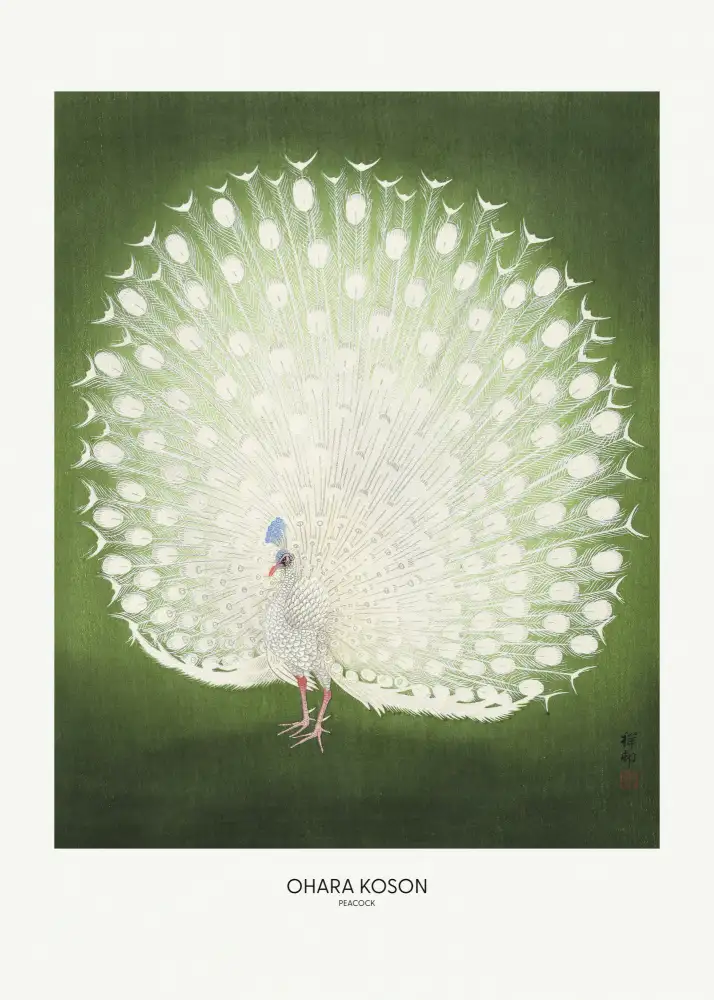 Koson, Ohara: Peacock - Wide