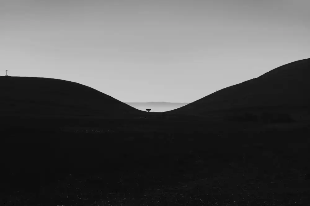 Liu, Yi: Coyote Hills Sonnenuntergang
