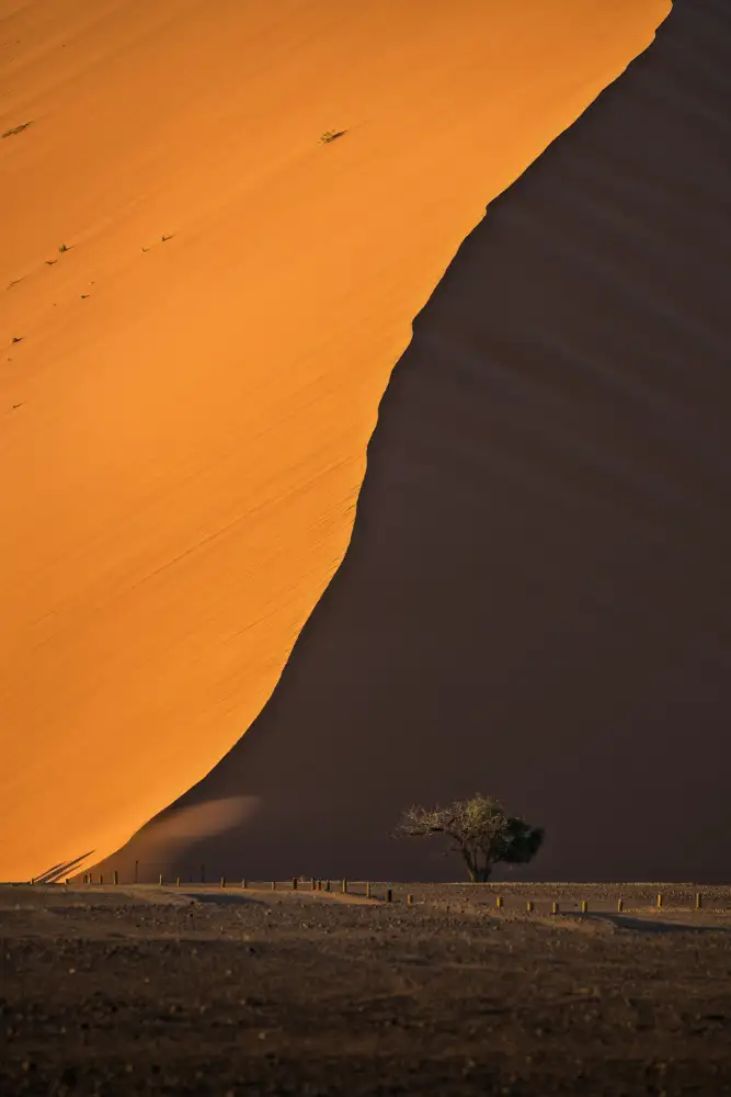 Wei, Willa: Namibie písečné duny