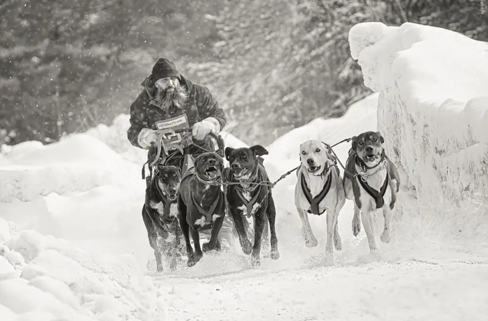 Deng, Larry: Wintersport