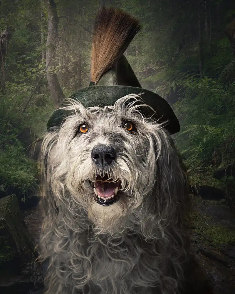 Repelnig, Hans: Nel profondo del bosco
