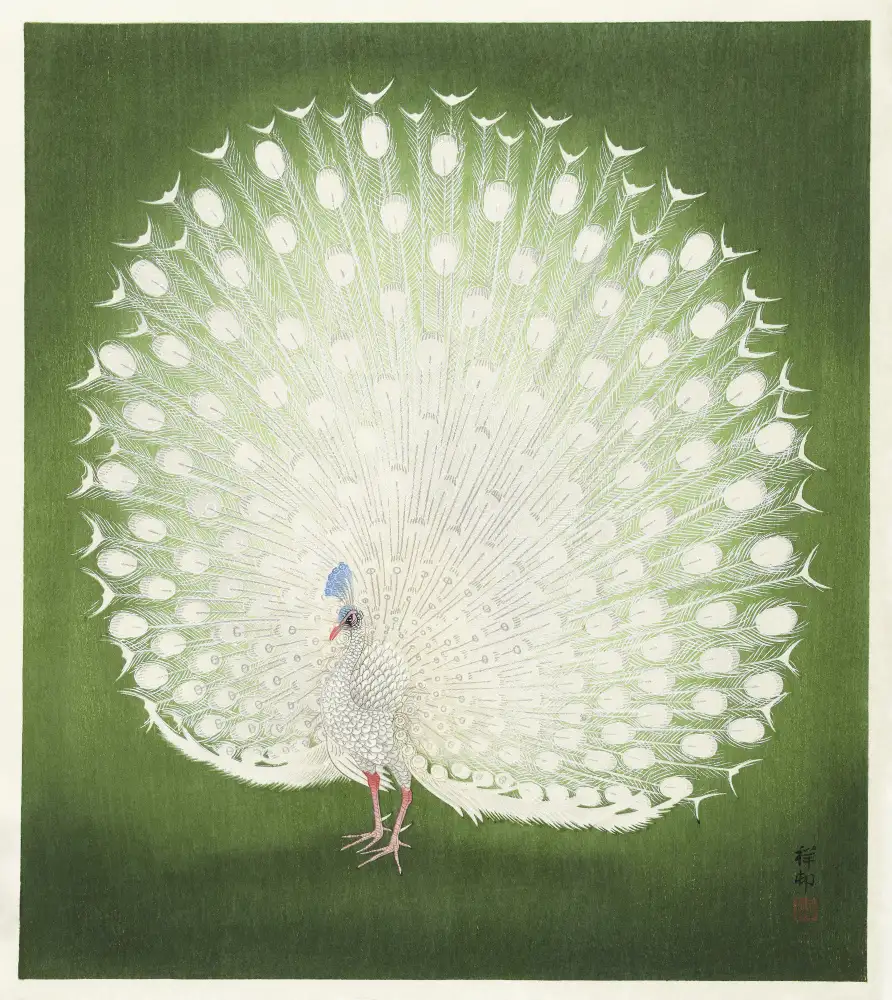 Koson, Ohara: Peacock