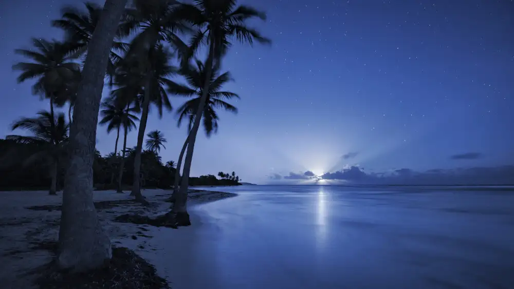 Hefele, Stefan: Lever de lune tropical