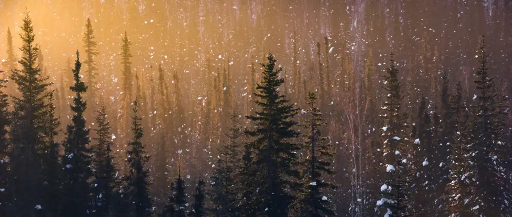 Hefele, Stefan: Copos de nieve