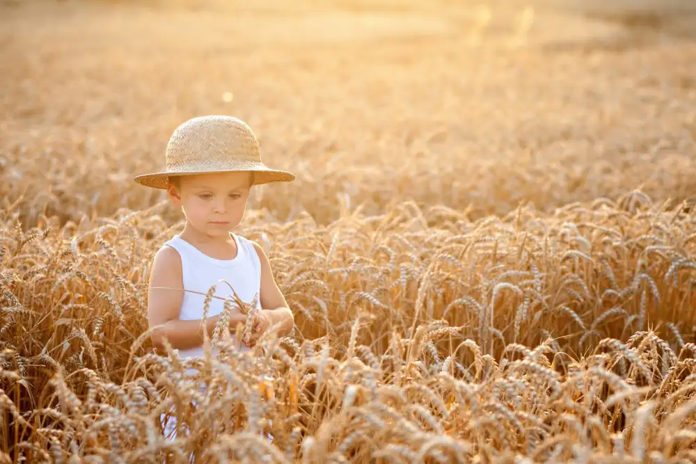 Tomsickova, Tatyana: Sklizeň