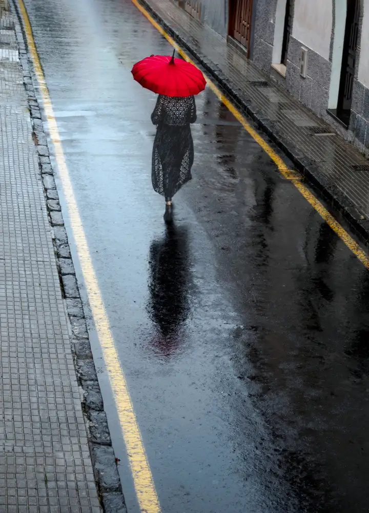 Alviani, Montserrat: Rouge noir