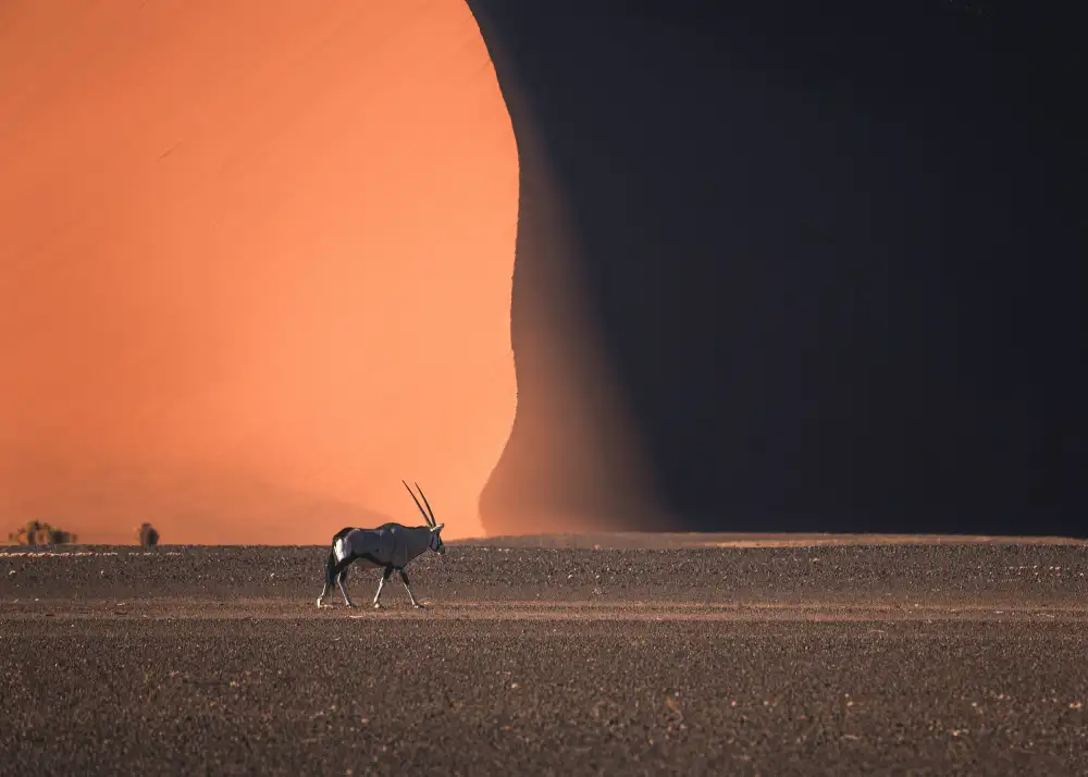 Wei, Willa: Dojmy z Namibie