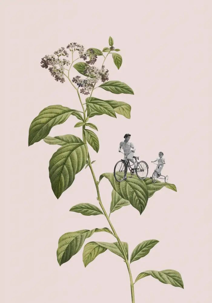 Studio, Floral Frida: Cyclisme botanique