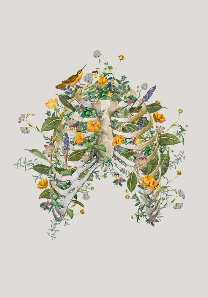 Studio, Floral Frida: Thorax floral