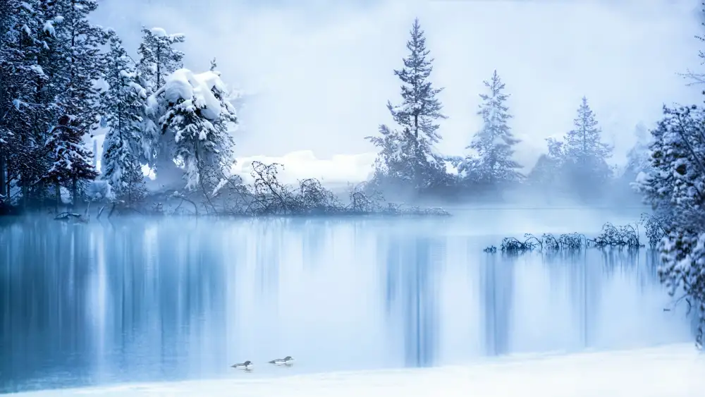 Wei, and Siyu: Scena invernale di Yellowstone 6