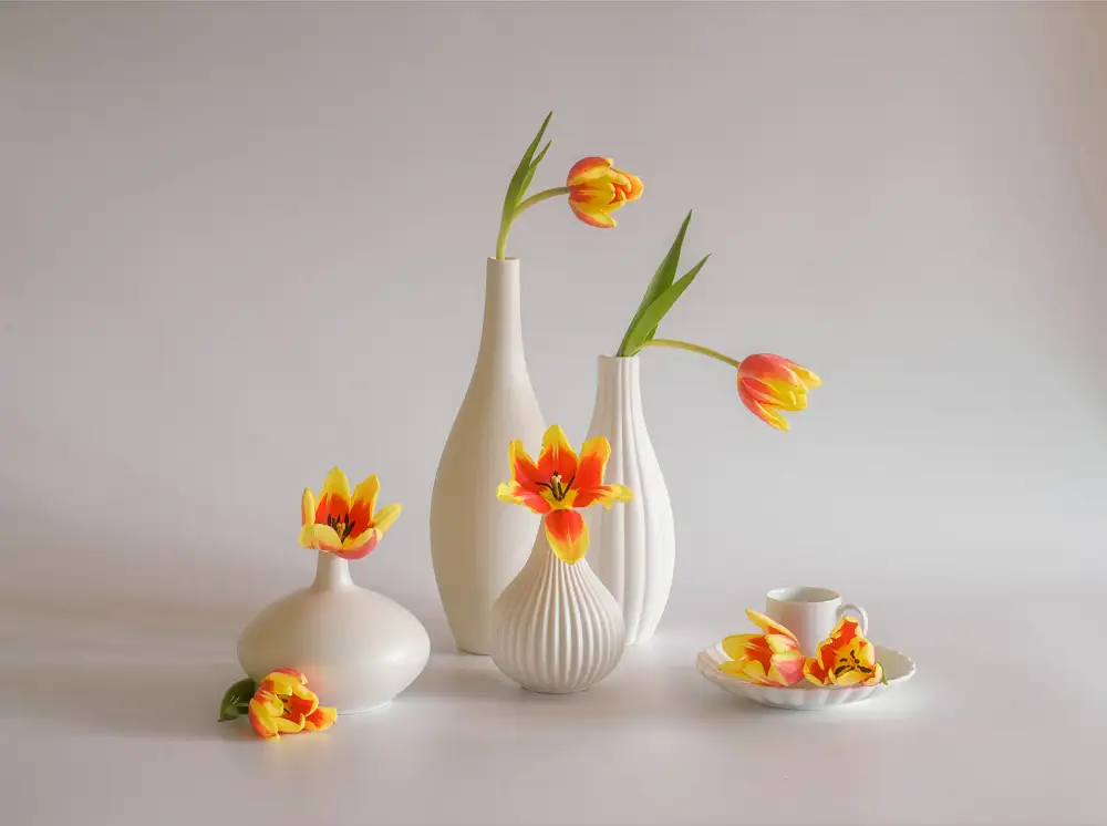 Sheng, Alice: Stillleben 70