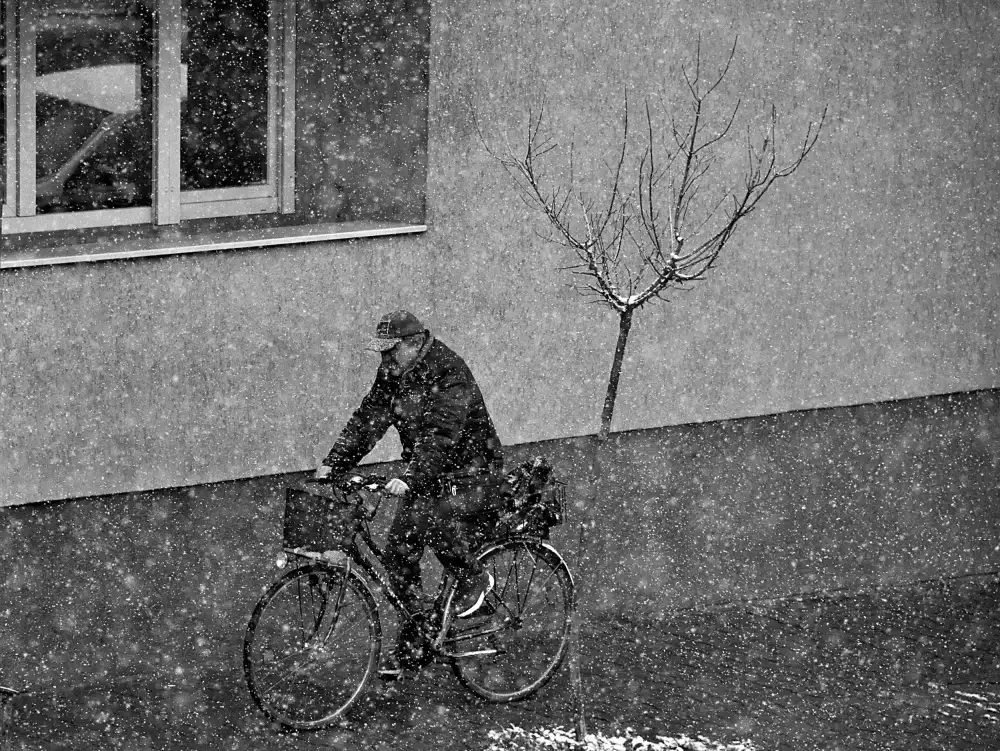 Gabor, Nicoleta: passeggeri invernali