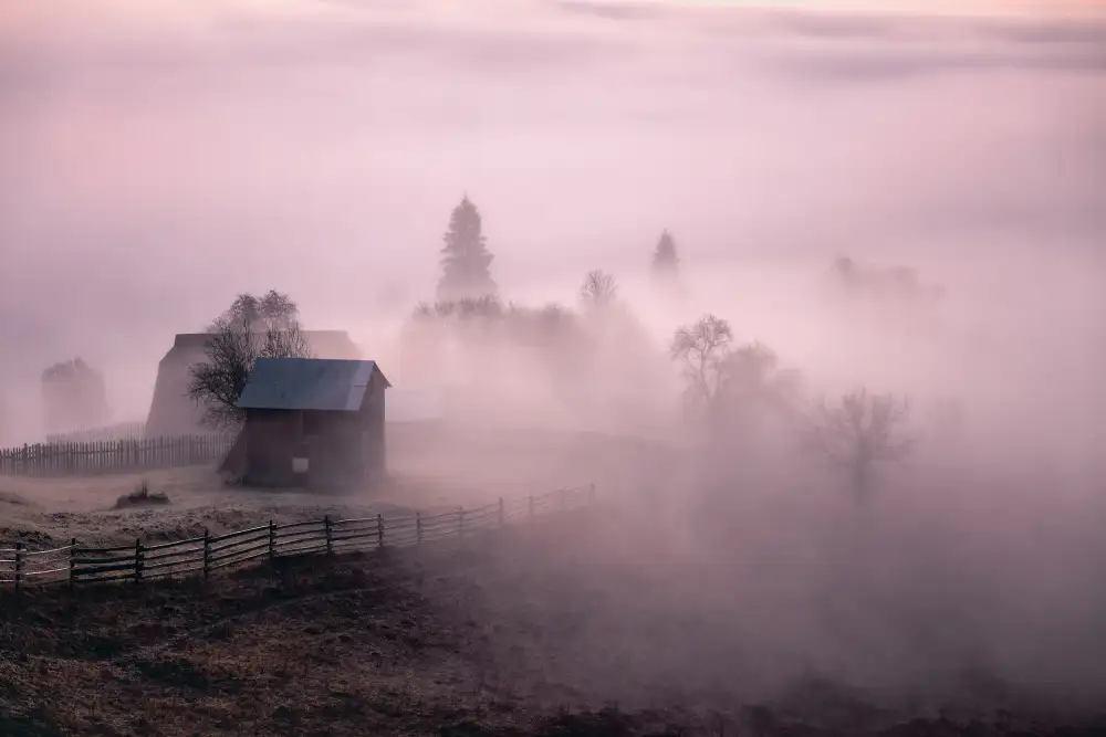 Prioteasa, Sebastian: Nebbia mattutina