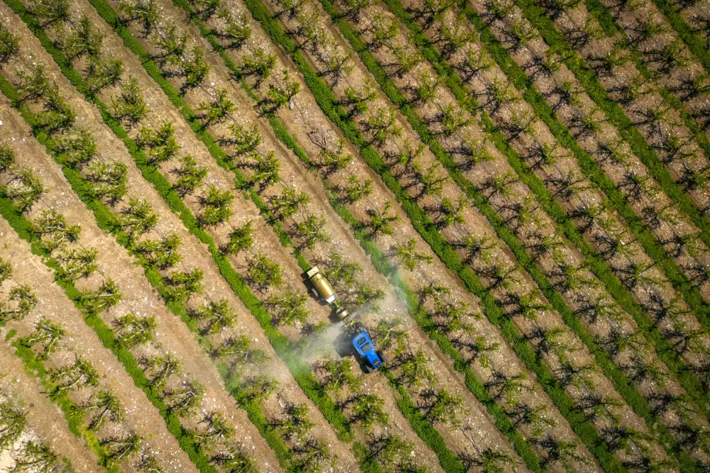 Weiss, Shmulik: Agricoltura dall'alto