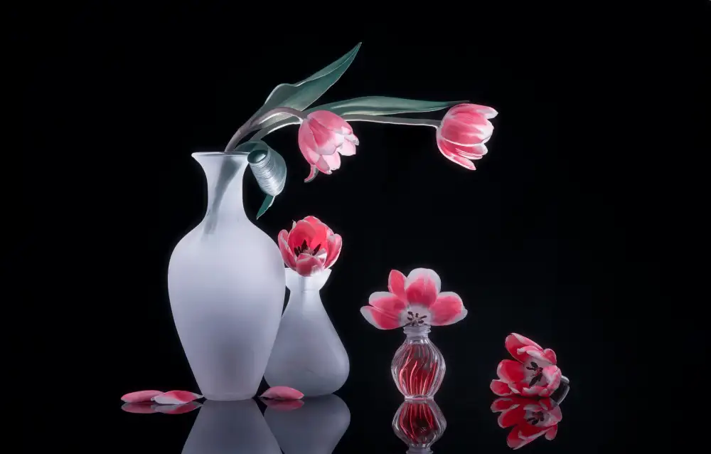 Sheng, Alice: Stillleben 73