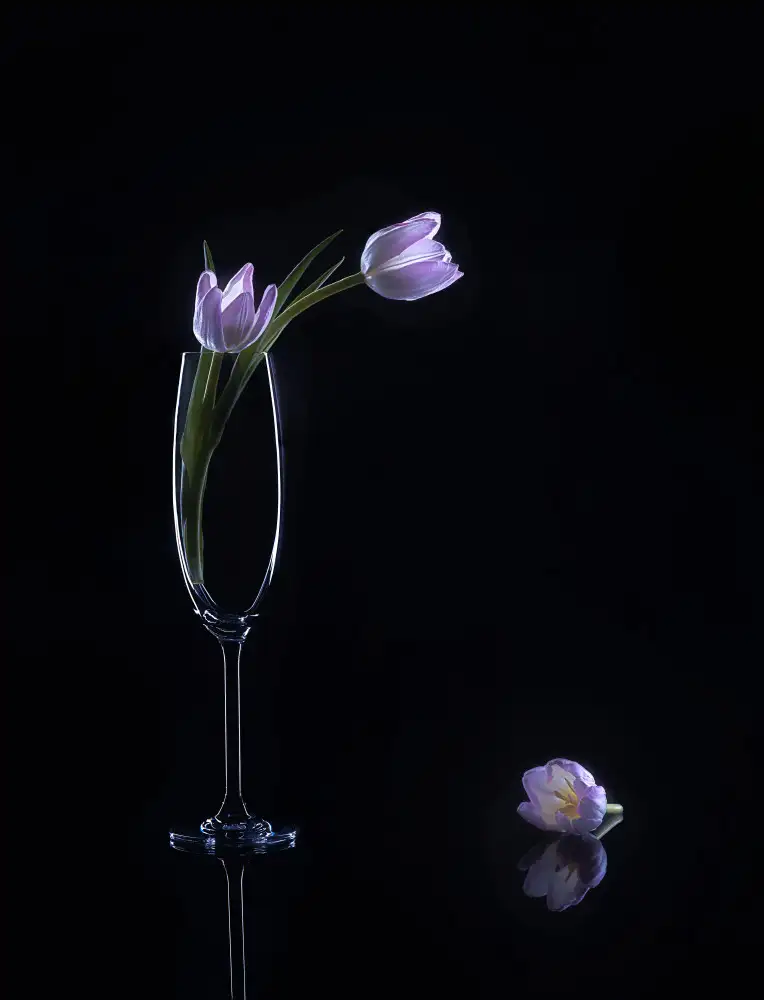 Sheng, Alice: Stillleben 74