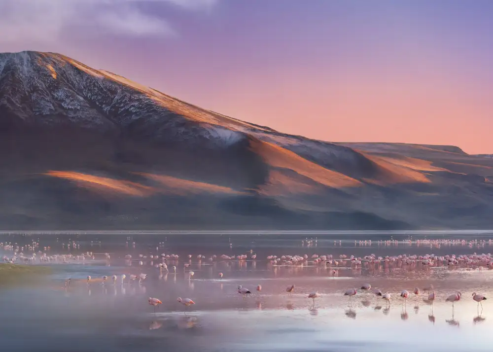 Liang, Ken: Laguna Colorada Morgen
